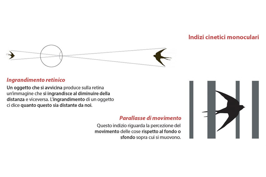 indizi cinetici monoculari